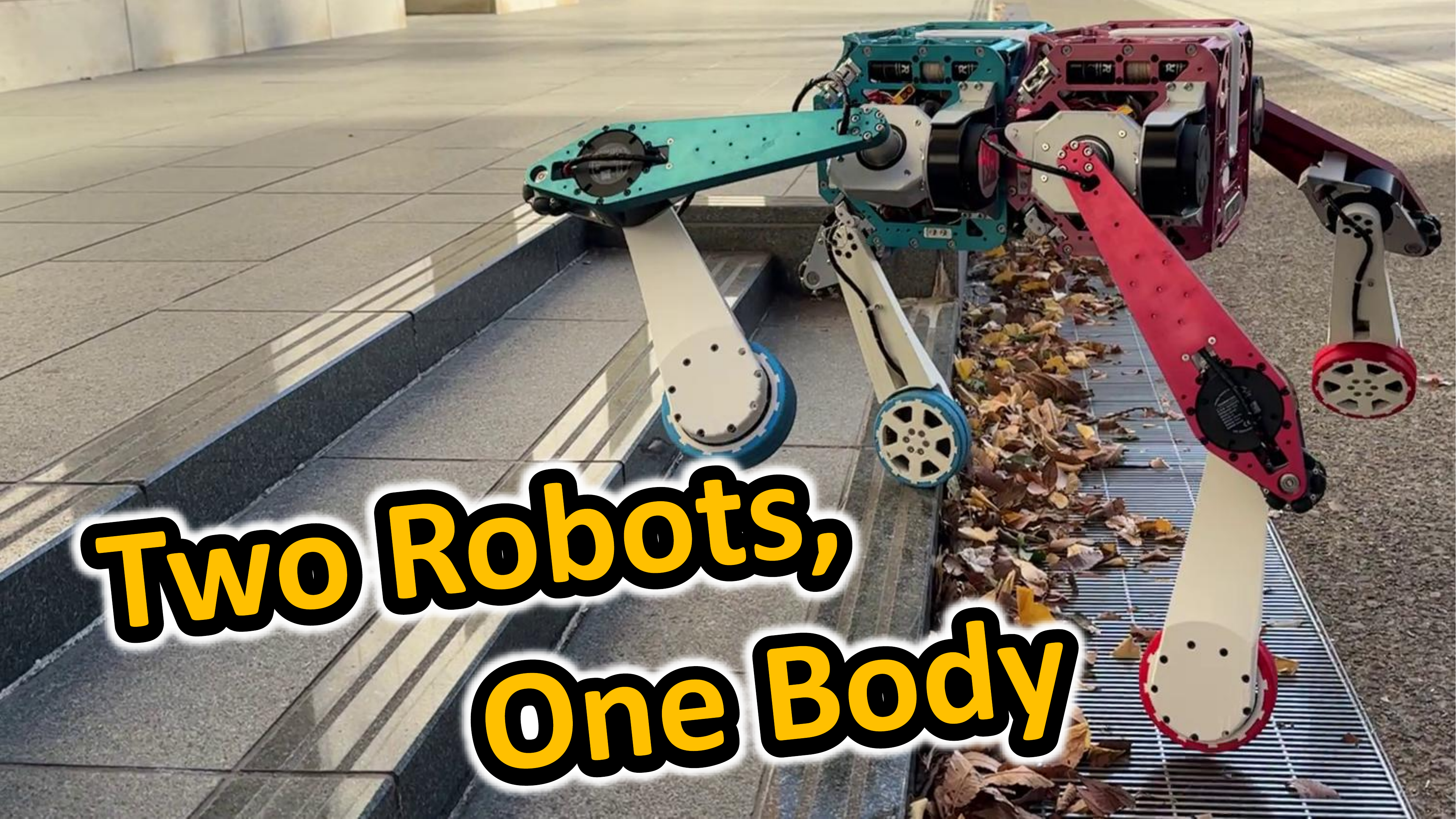 Inter-Body Wire for Reconfigurable Robots: Bridging Integrated Morphological Reconfiguration and Distributed Wire-Mediated Cooperation